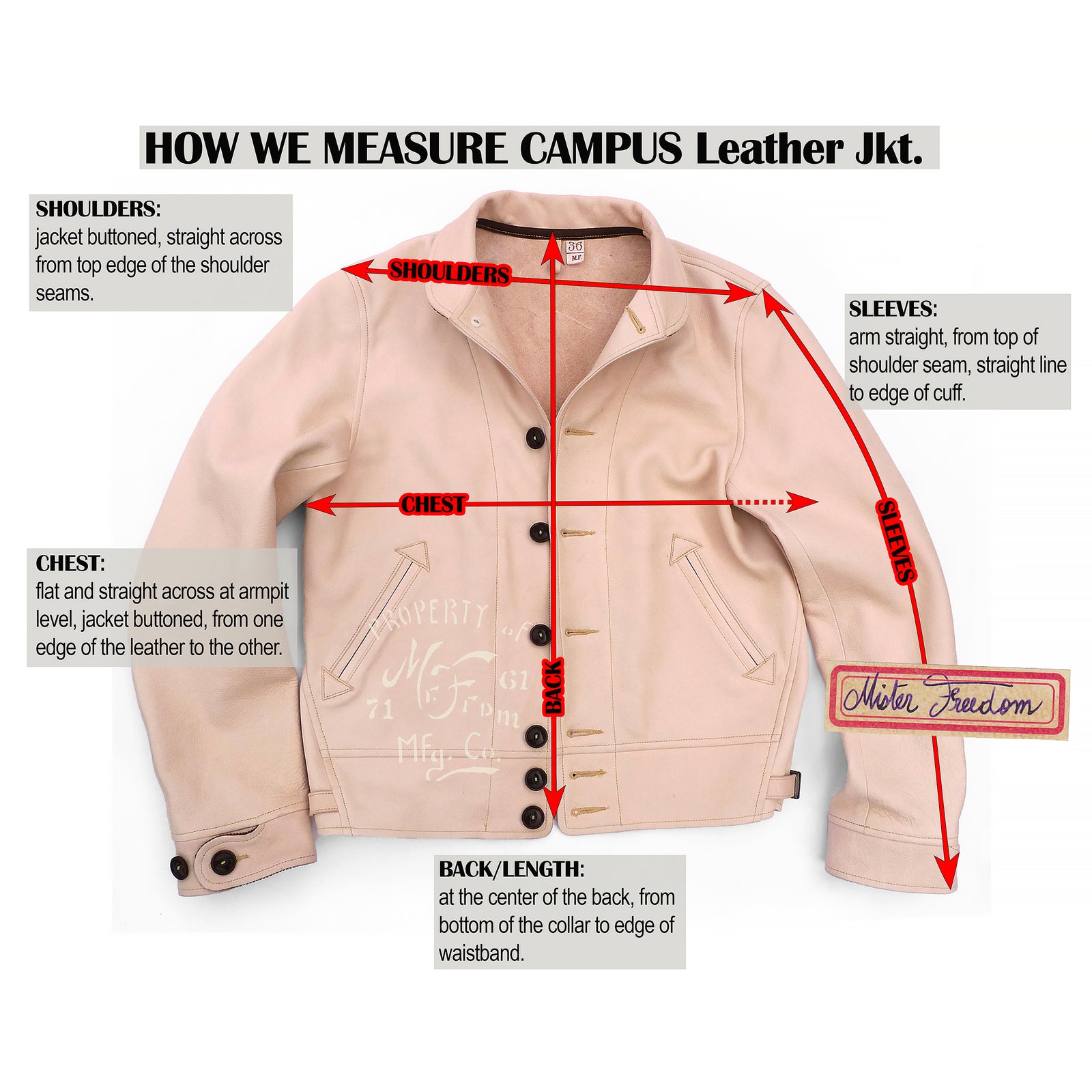 Campus Jacket - Stallion | Mister Freedom®