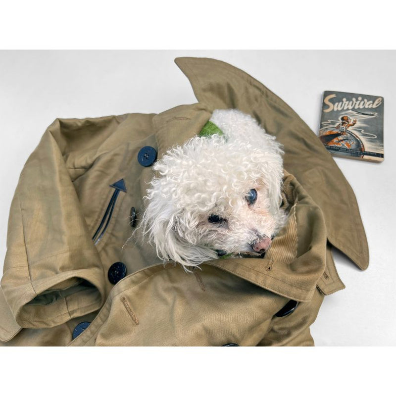 Mister Freedom® x Sugar Cane Barnstormer Coat - The Joe Greene testing the comfort and warmth of the fully lined (beige corduroy for body & OG-107 sateen for arms) Barnstormer coat.